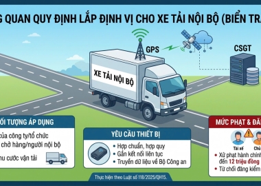 Xe Tải Nội Bộ Biển Trắng: Quy Định Dán Tem, Lắp Định Vị Mới Nhất 